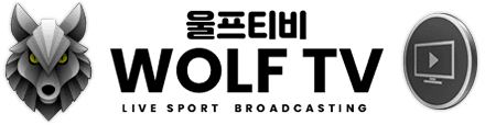 울프티비 로고