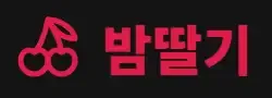 밤딸기 로고