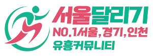 서울달리기 로고
