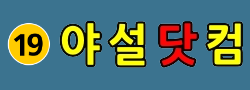 야설닷컴 로고