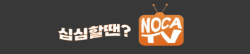 노카tv 로고