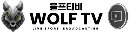 울프티비 로고
