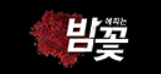 밤꽃 로고