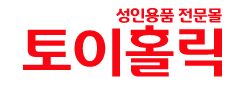 토이홀릭 로고