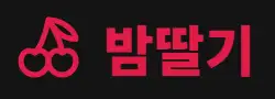 밤딸기 로고