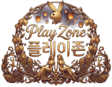 플레이존 로고
